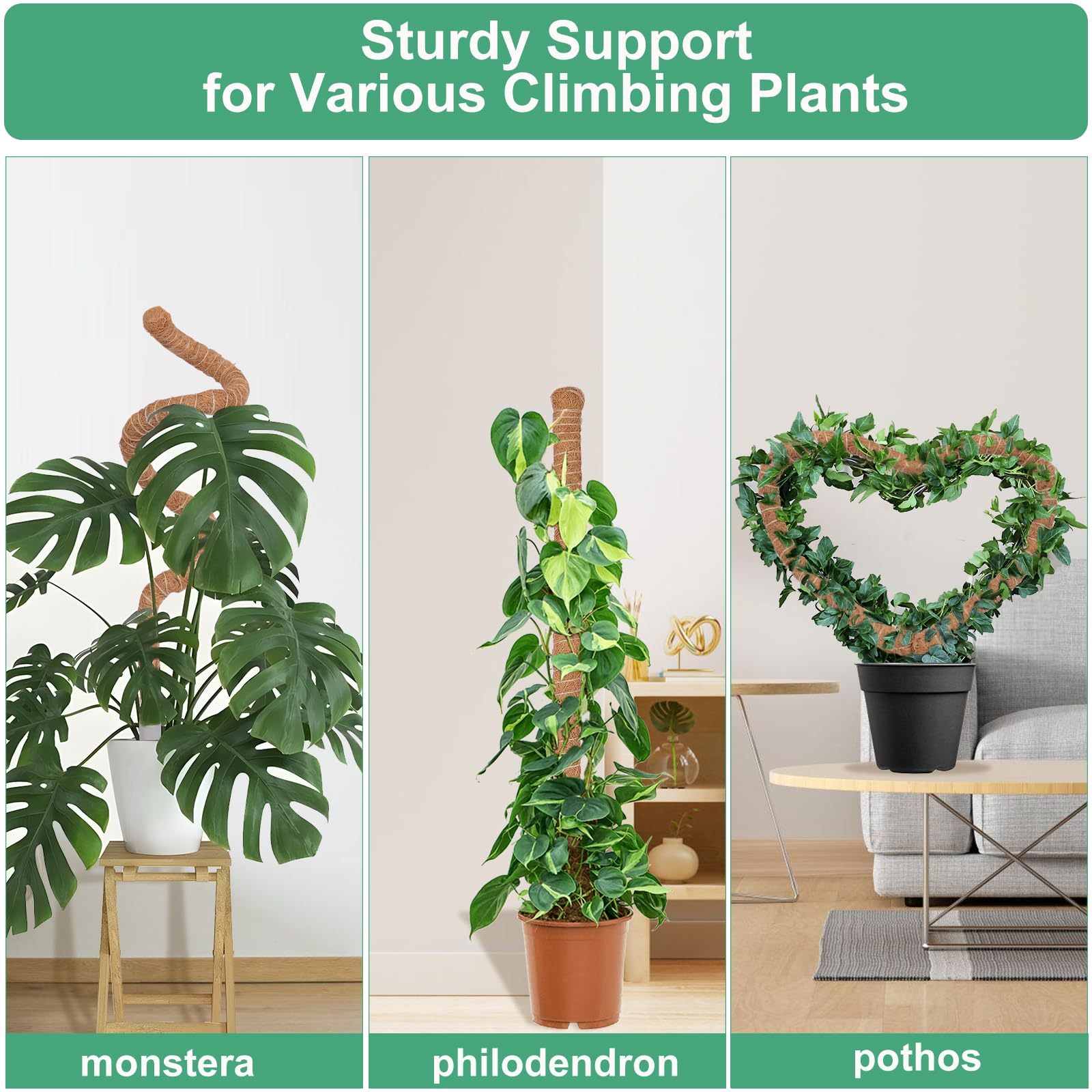 3 Pack 50 Inch Tall Coco Coir Moss Poles, Sturdy Climbing Plant Support Stakes for Monstera, Pothos, Philodendron and Indoor Tropical Plants