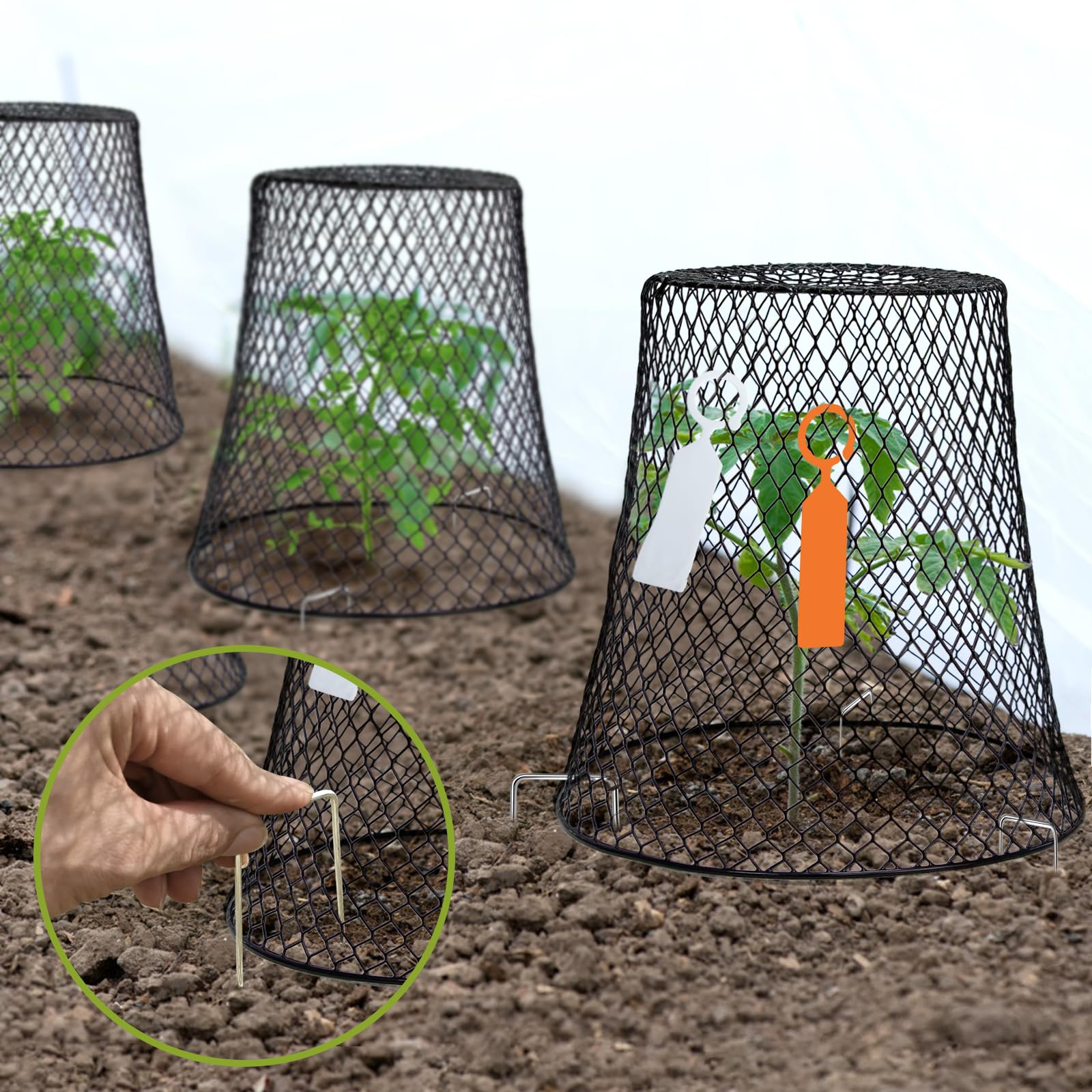 10 Pack 9.13" x 9.13" Heavy Duty Chicken Wire Plant Cloche, Garden Metal Mesh Plant Protector Cover, Animal Barrier to Keep Rabbits, Squirrels, Chickens, Birds Away from Garden Plants