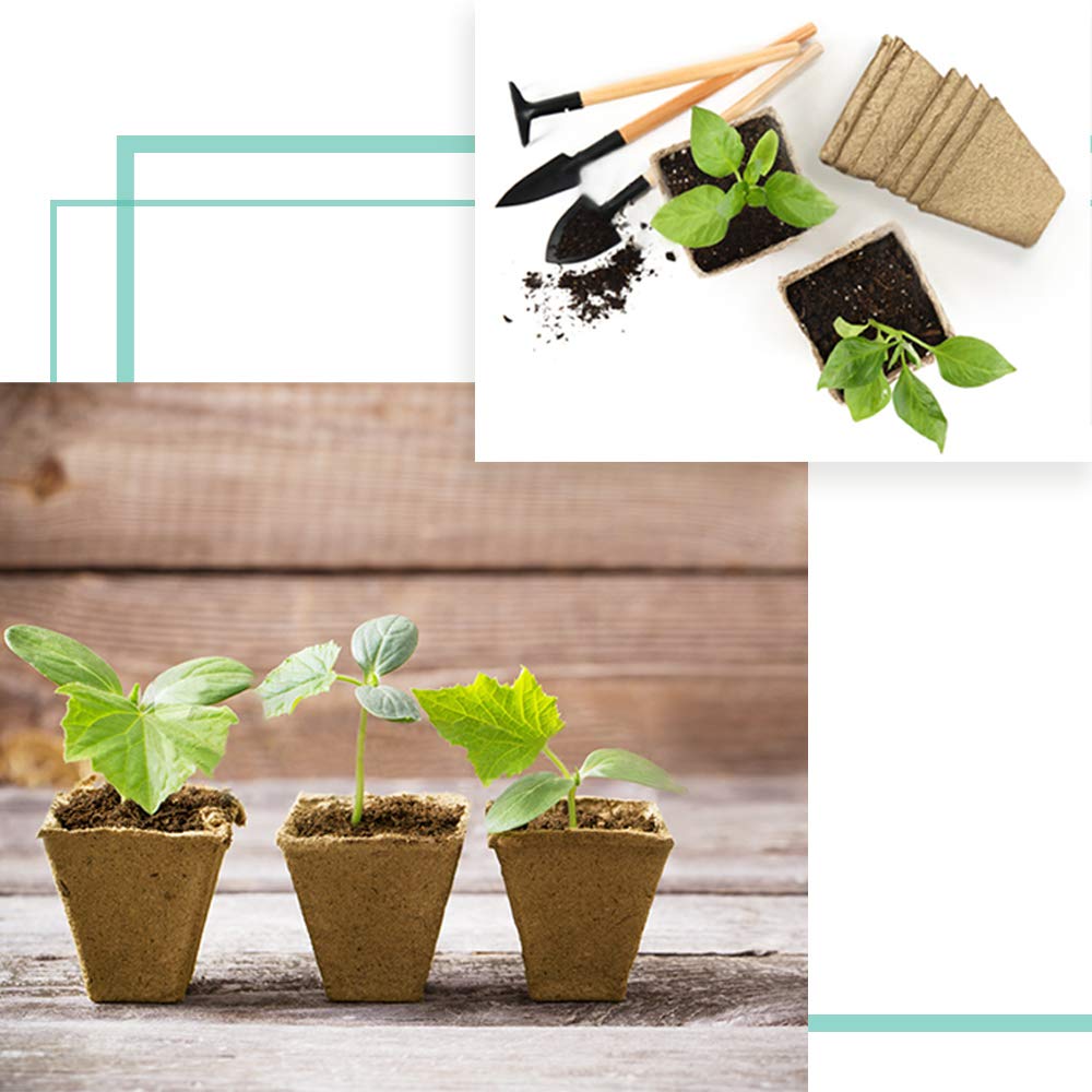3.25" Biodegradable Peat Seed Starter Pots