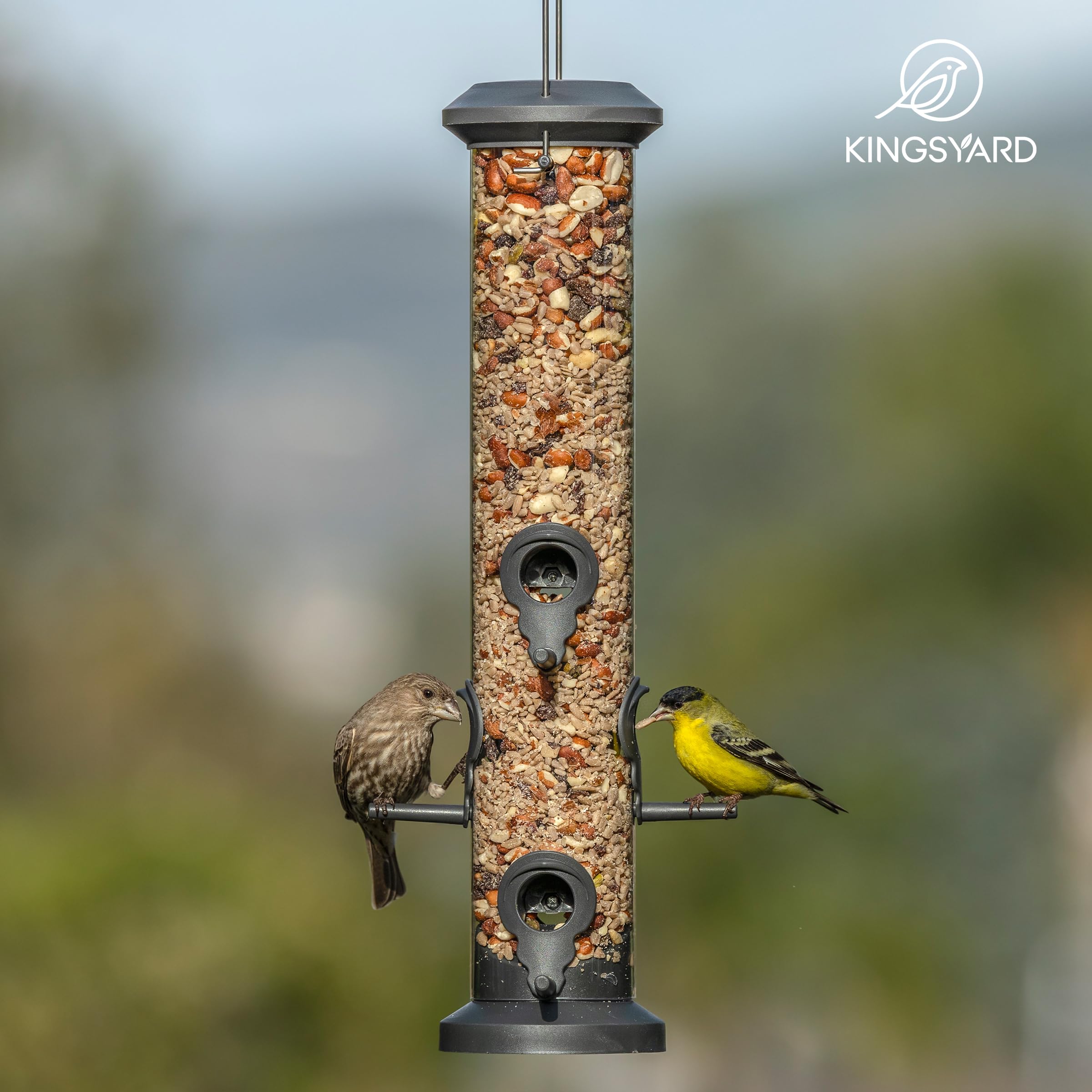 2 Pack Tube Bird Feeders 6 Feeding Ports Outdoor Hanging, Weatherproof Hard Plastic Wild Bird Feeder with Steel Hanger for Garden Yard