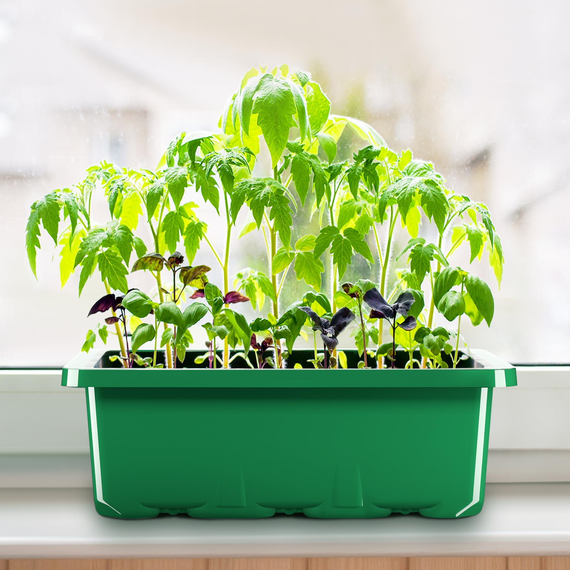 10 Packs Seed Starter Tray Kit with Humidity Dome, 120 Cells Total Seed Starting Trays, Mini Greenhouse Germination Kit with Base for Plant Seed Starting