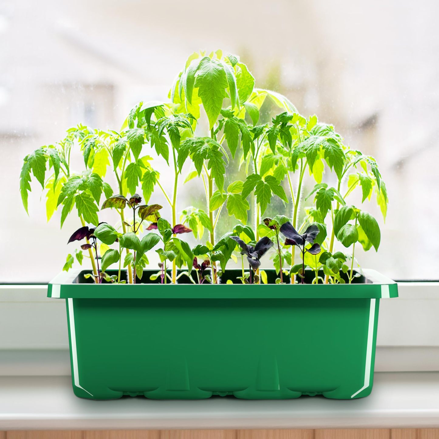 10 Packs Seed Starter Tray Kit with Humidity Dome, 120 Cells Total Seed Starting Trays, Mini Greenhouse Germination Kit with Base for Plant Seed Starting