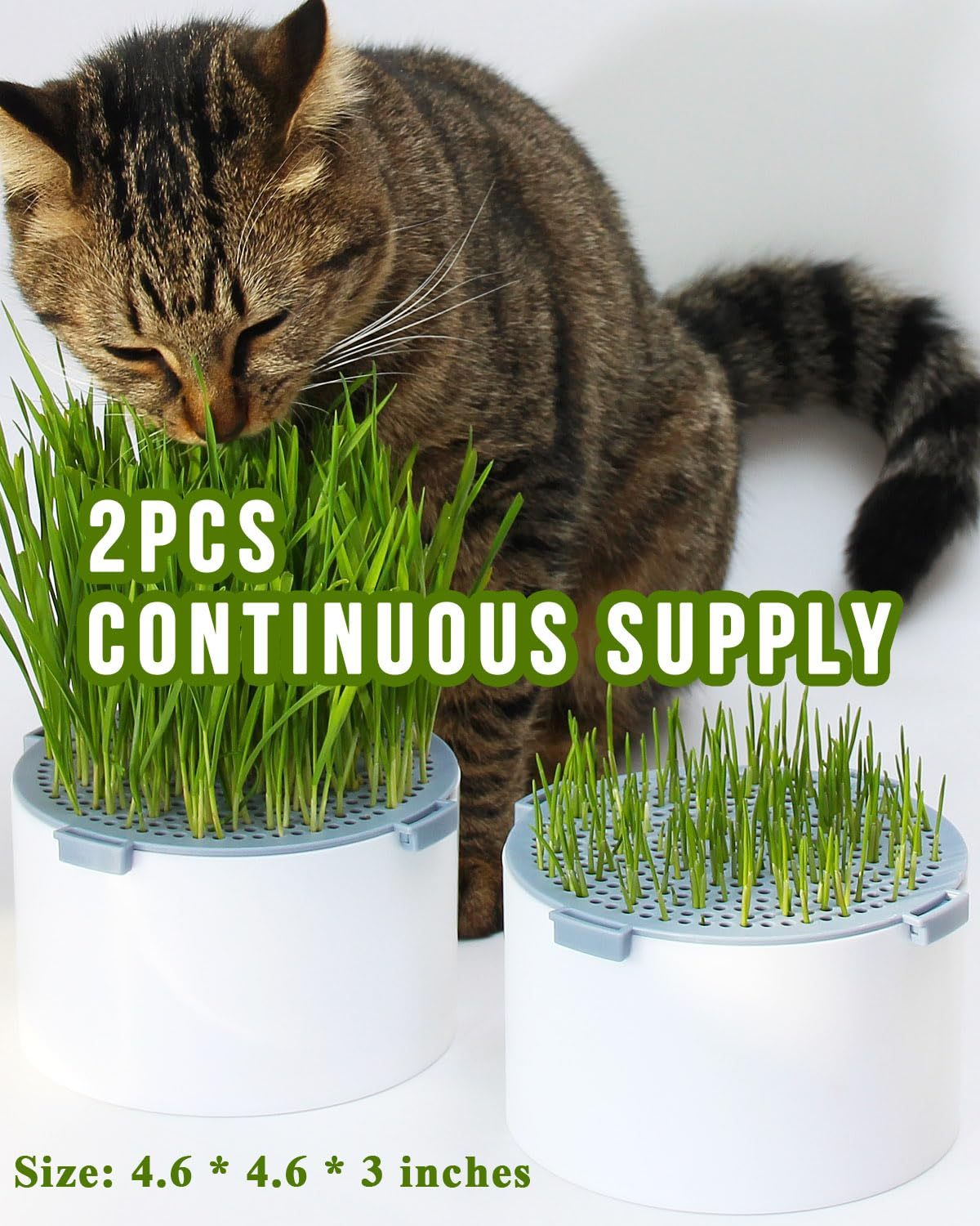 2Pcs Hydroponic Cat Grass Planter, Soil Free Wheatgrass Growing Tray, Anti Digging Anti Uprooted Cat Grass Grow Kit for Indoor Pets Cats, Without Seeds