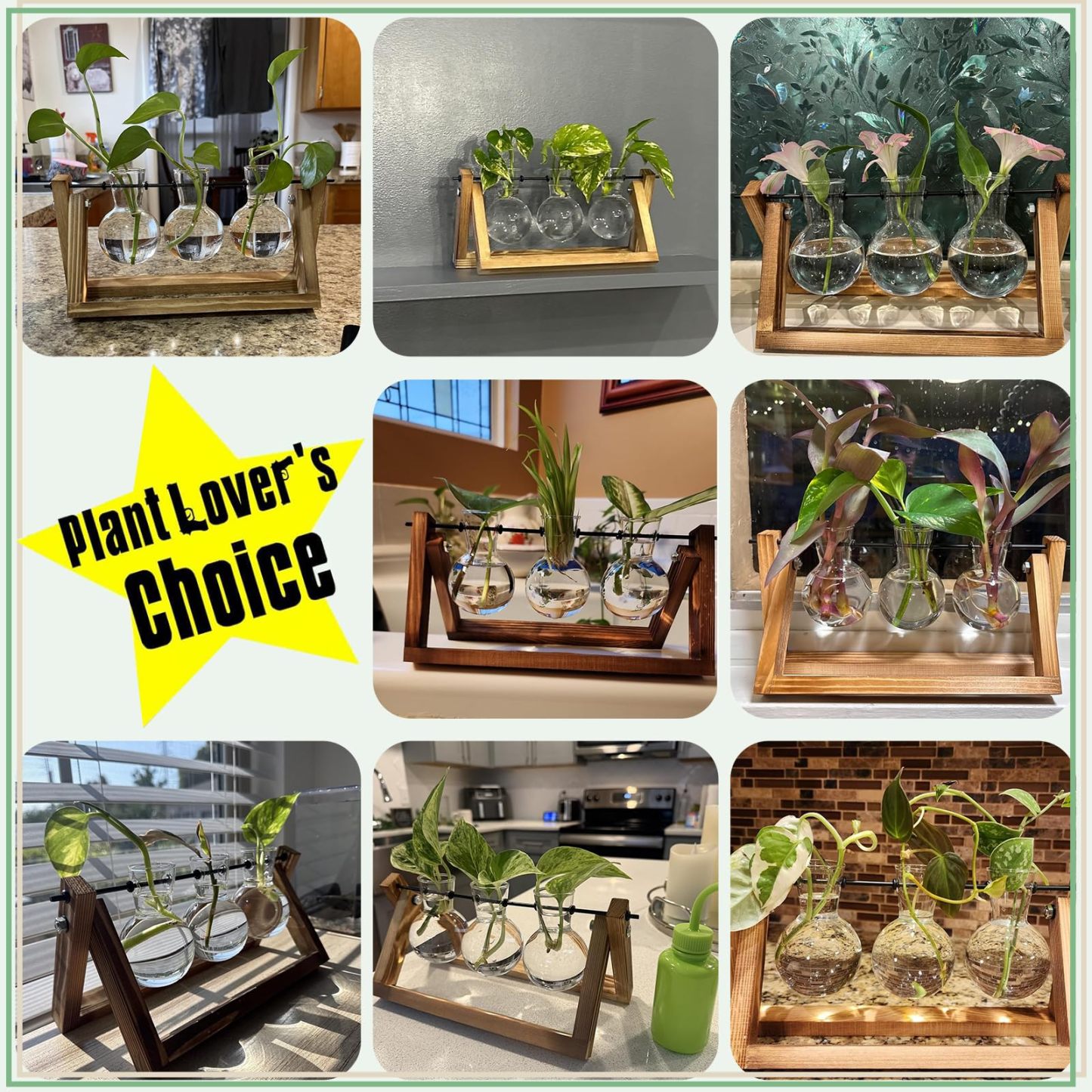 3 Pack Glass Bulb Plant Terrarium with Wooden Stand, Retro Swivel Metal Holder Hydroponic Vase, Tabletop Air Planter for Home Office Garden Decor