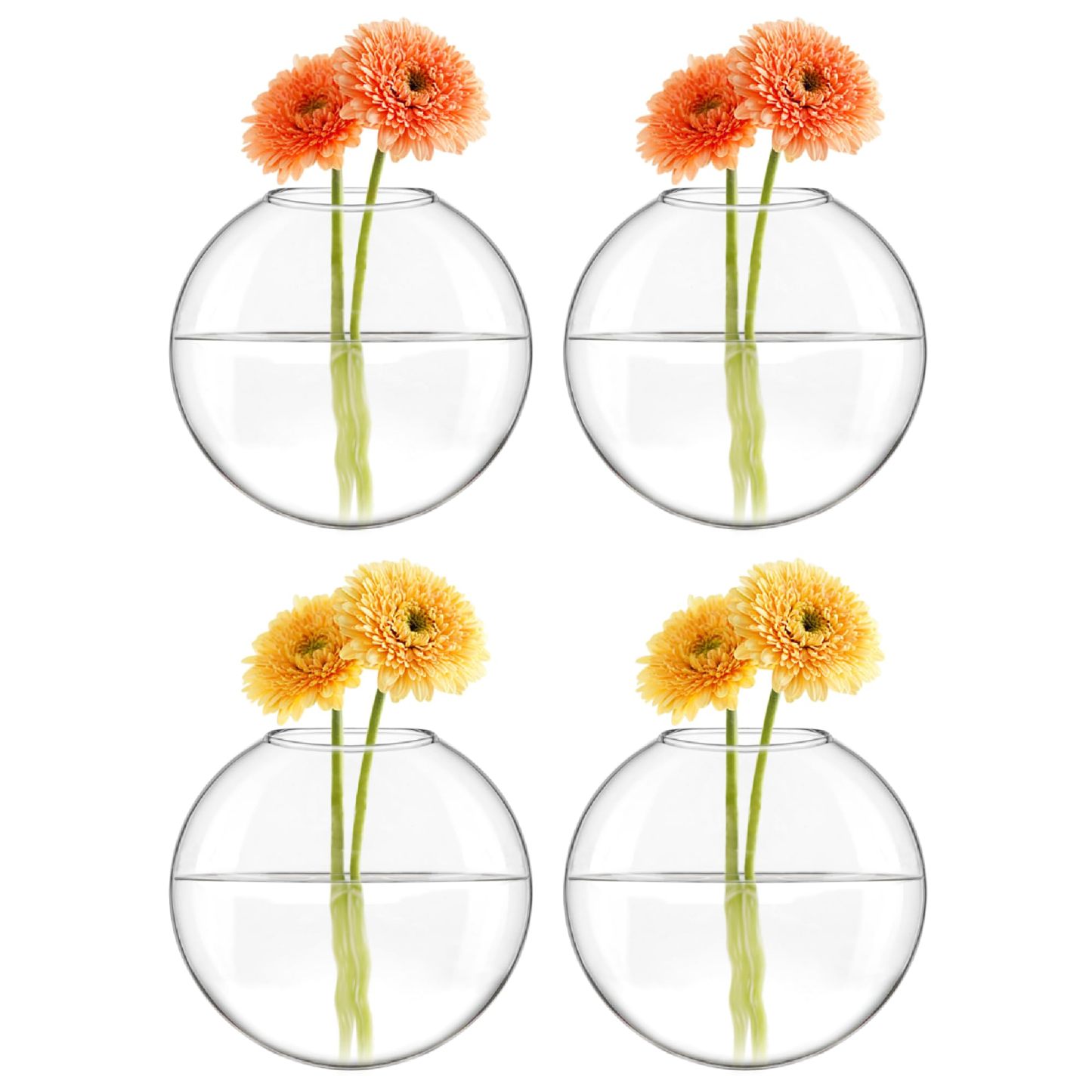 4Pcs Oblate Wall Hanging Glass Propagation Station, Hydroponic Flower Vase for Plant Cuttings, Home Bathroom Office Living Room Wall Decor Gift, Plants Not Included