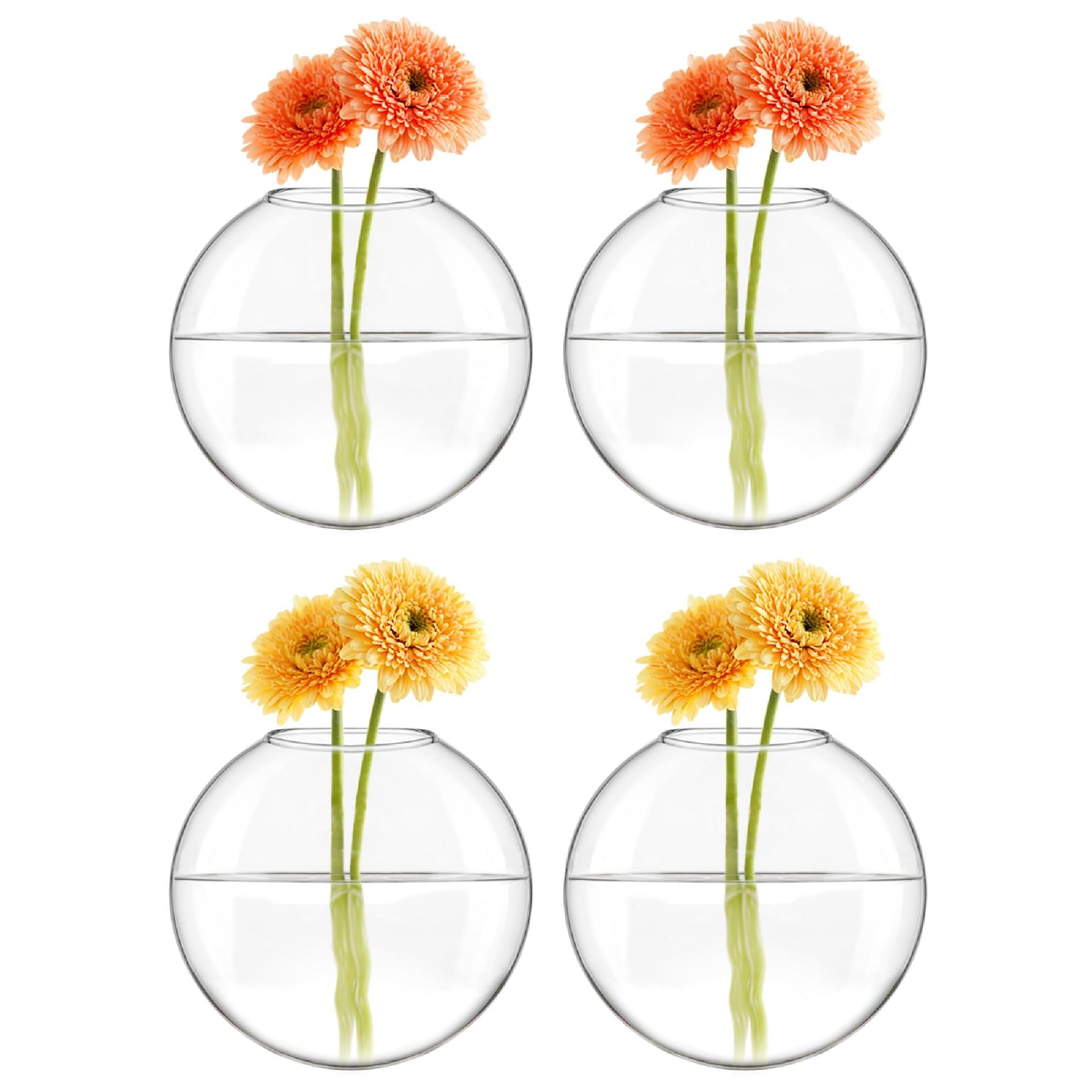 4Pcs Oblate Wall Hanging Glass Propagation Station, Hydroponic Flower Vase for Plant Cuttings, Home Bathroom Office Living Room Wall Decor Gift, Plants Not Included