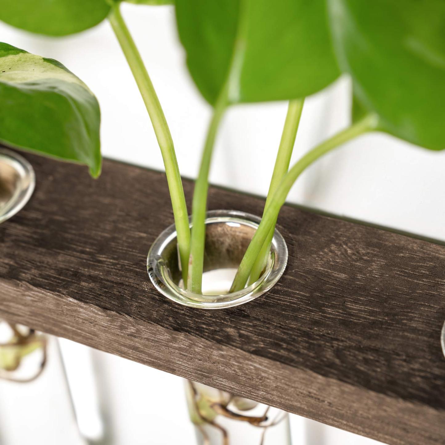 3 Tier Wall Hanging Plant Propagation Tubes, Wooden Frame Test Tube Glass Vase, Hydroponic Cuttings Terrarium, Home Garden Office Wall Decor Gift