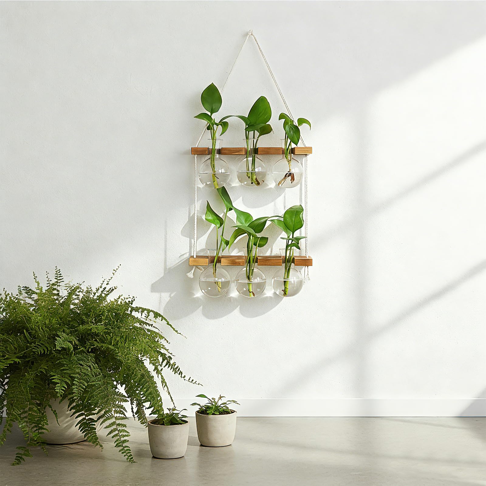 2 Tier Wall Hanging Plant Propagation Station, Wooden Stand Hydroponic Terrarium with 6 Bulb Glass Vases, Home Wall Decor Gardening Gifts for Plant Lovers
