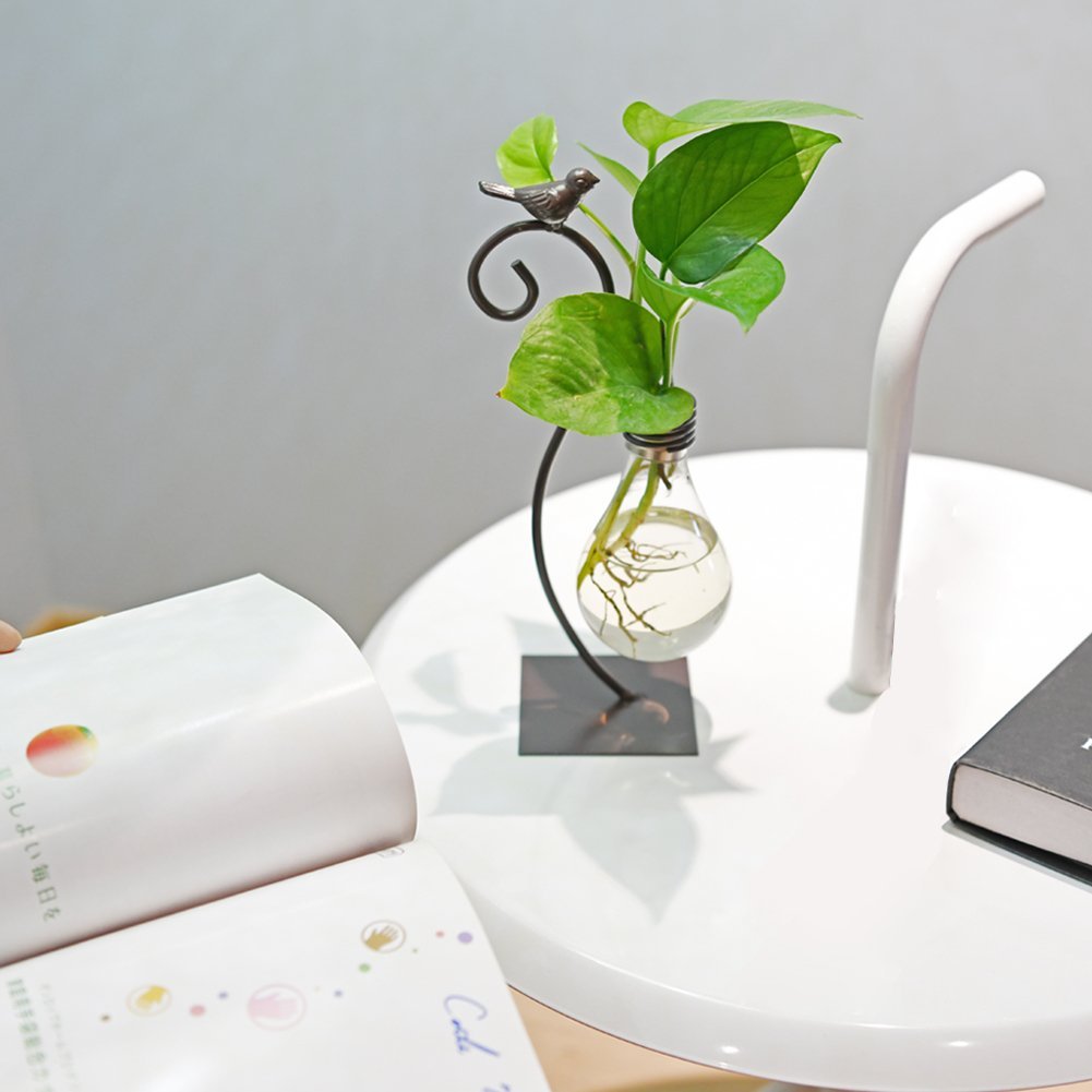 Modern Glass Hydroponic Vase Bulb Shaped Desktop Planter with Metal Holder for Home Decor