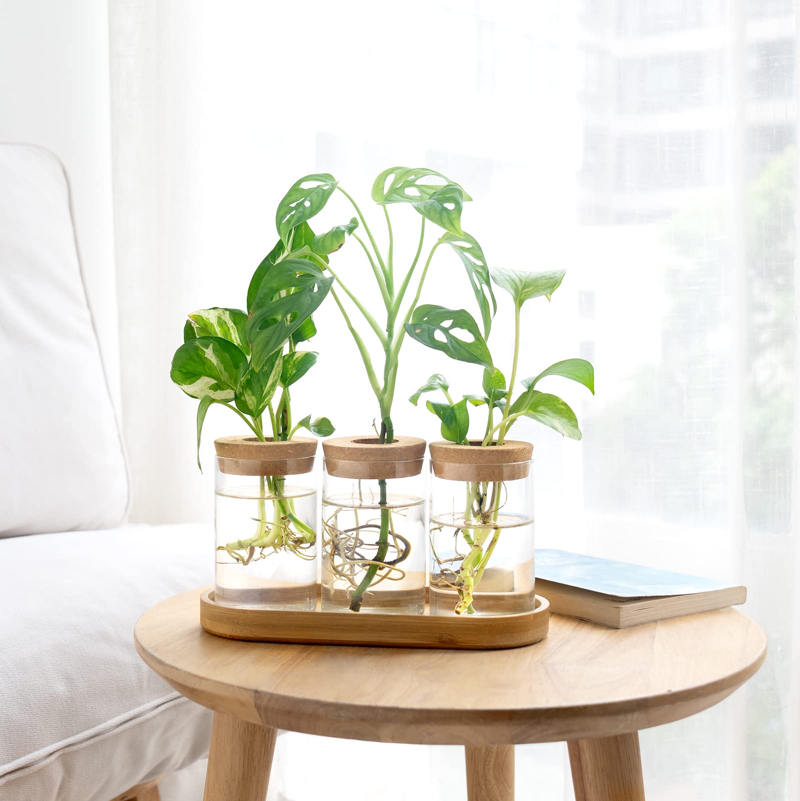 3Pcs Glass Propagation Terrarium with Lid Wooden Stand Desktop Hydroponic Planter Home Decor