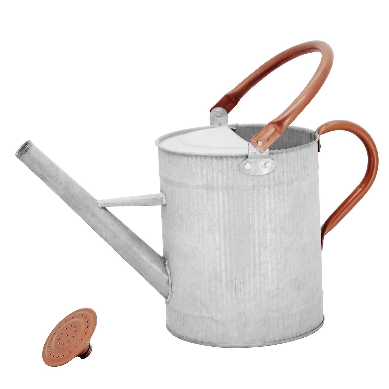 1 Gallon Galvanized Metal Watering Can with Removable Spout, Farmhouse Style for Indoor & Outdoor Plants