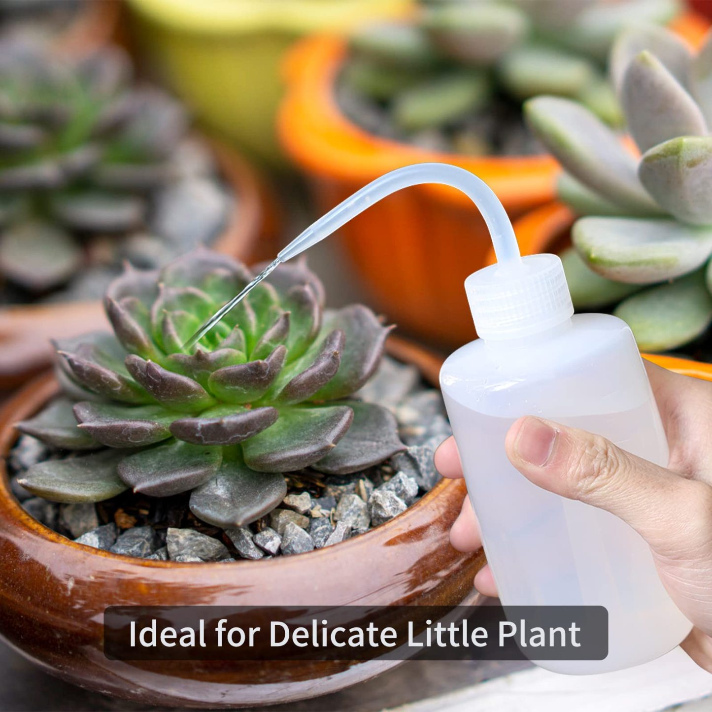 47oz Plastic Watering Can with Long Spout & Wide Opening, Green, Comes with 16oz Spray Bottle + 8.5oz Squeeze Bottle for House Plants