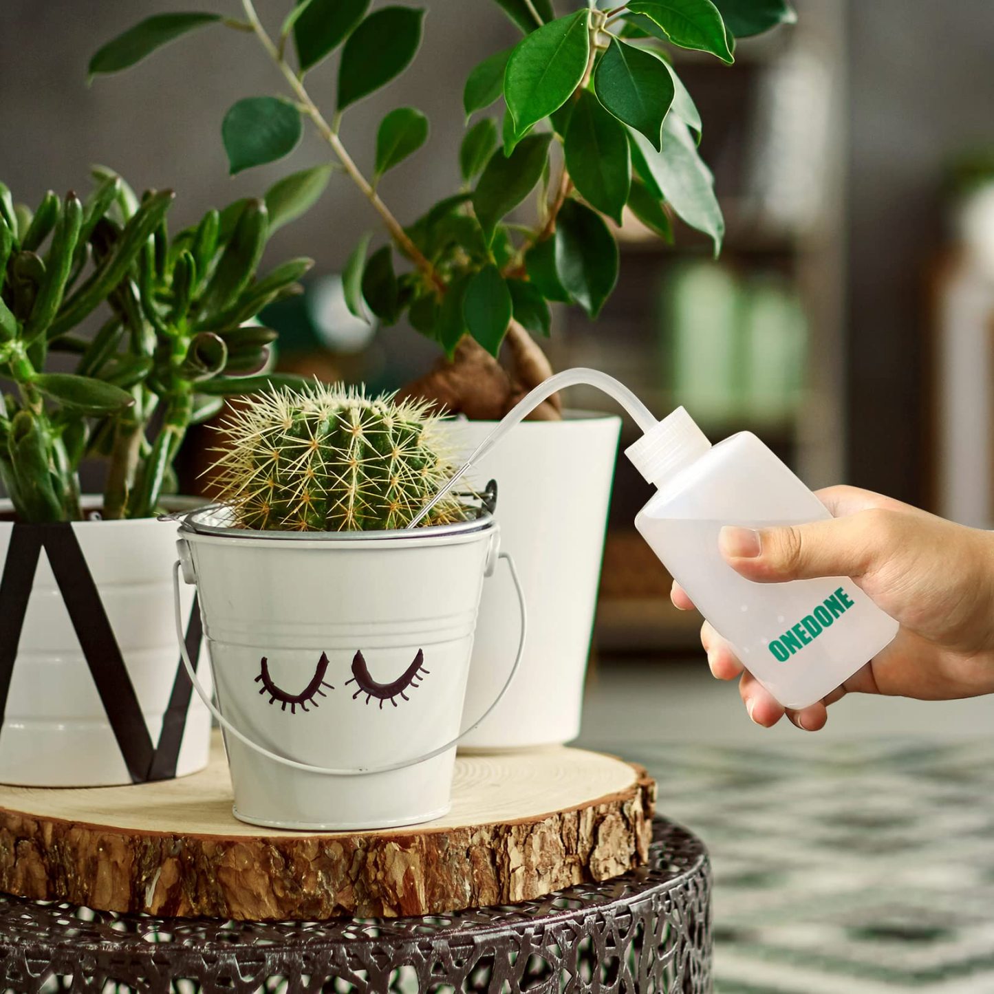 34oz Small Long Spout Watering Can, Indoor Plant Watering Set with Spray Bottle & Squeeze Bottle for House Plants and Potted Flowers