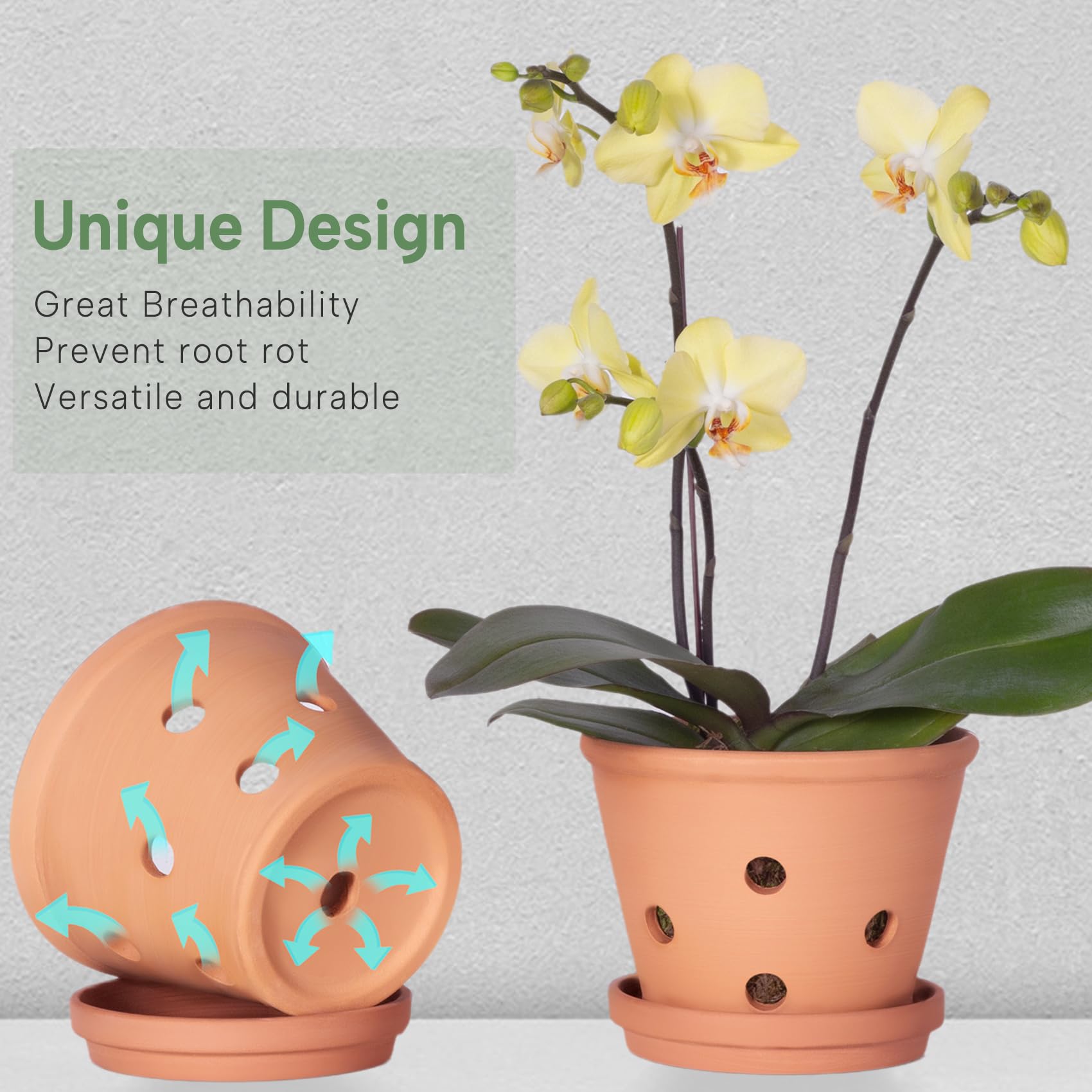 6 Inch Terracotta Orchid Pots with Drainage Holes & Saucers – 3 Pack Clay Planters for Repotting, Indoor & Outdoor Use