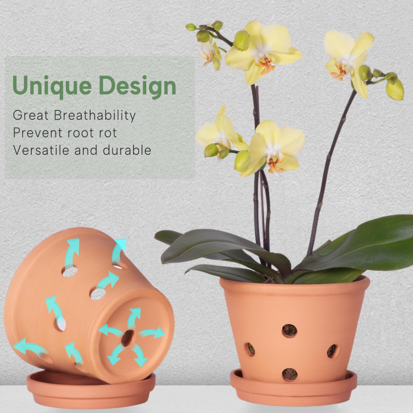 6 Inch Terracotta Orchid Pots with Drainage Holes & Saucers – 3 Pack Clay Planters for Repotting, Indoor & Outdoor Use