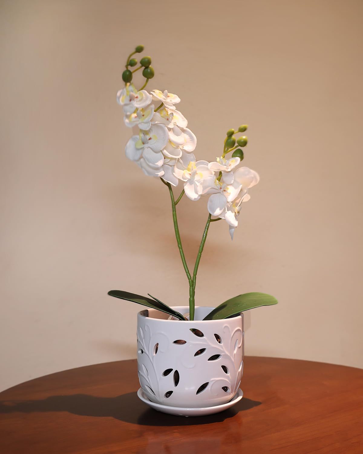 White Ceramic Orchid Pot Set (5 + 6 Inch) with Drainage Holes & Saucers for Indoor & Outdoor Use