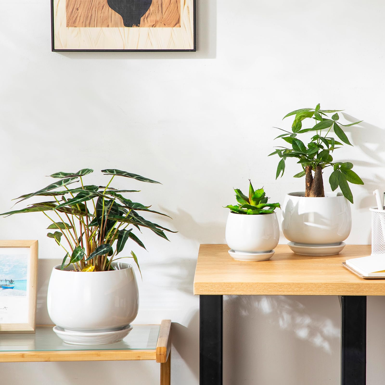 3-Pack White Ceramic Plant Pots, 3.7/4.8/6.2 Inch Indoor Planters with Drainage Holes & Saucers for Indoor Plants & Flowers