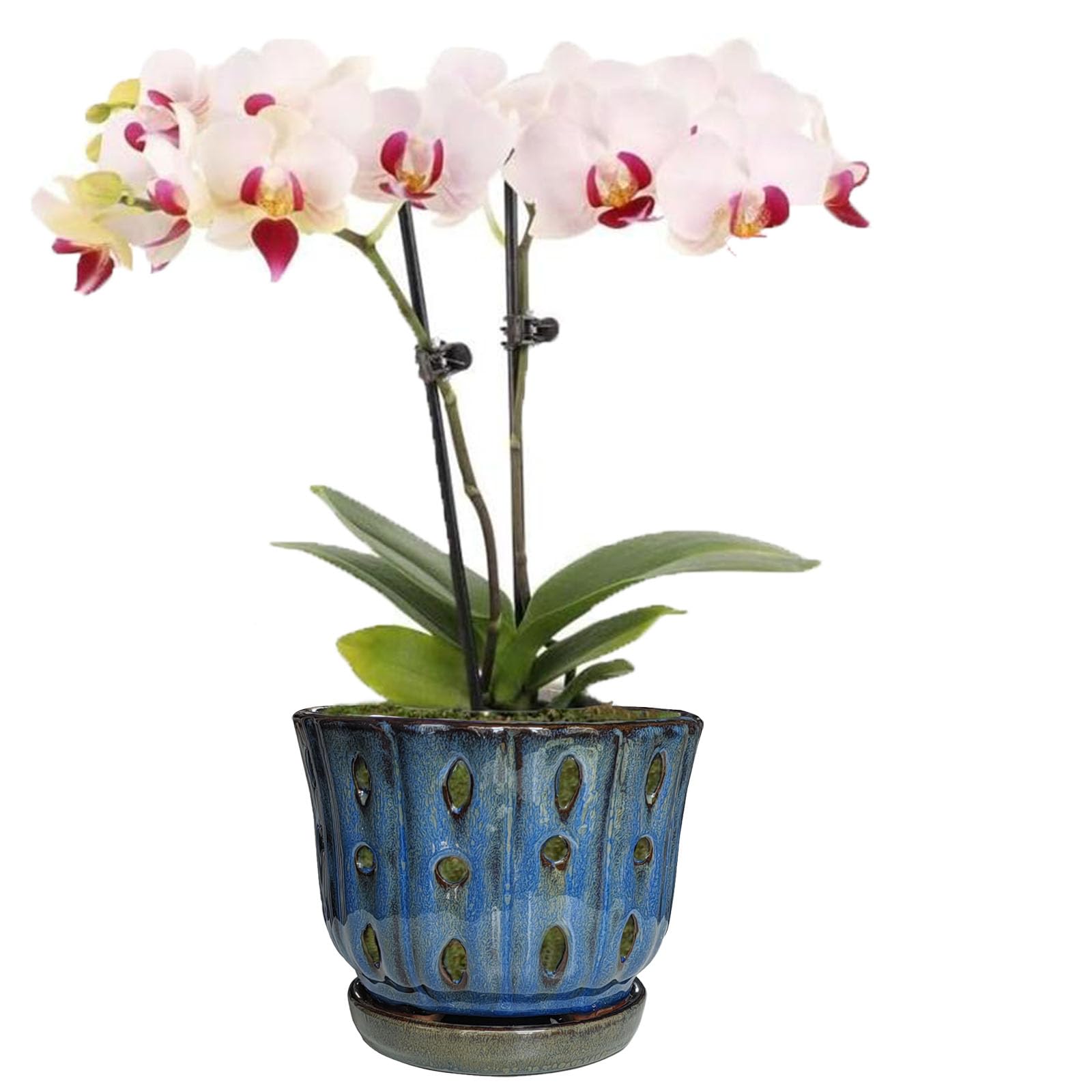 6 Inch Round Ceramic Orchid Pot with Holes, Premium Orchid Planter for Indoor Outdoor Use