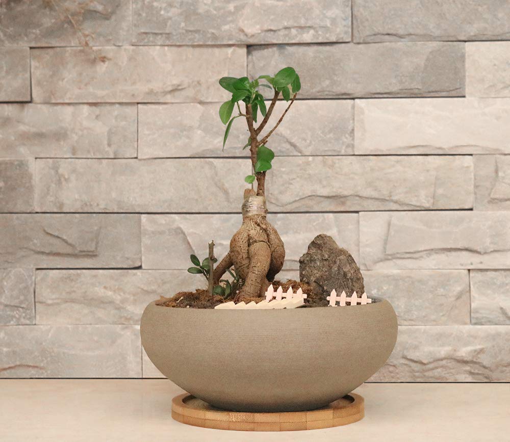 8 Inch Round Unglazed Ceramic Bonsai Pot with Bamboo Tray, Large Rough Pottery Succulent Planter with Drainage Hole