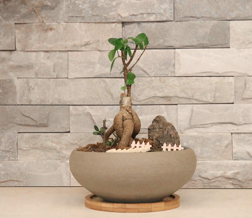 8 Inch Round Unglazed Ceramic Bonsai Pot with Bamboo Tray, Large Rough Pottery Succulent Planter with Drainage Hole