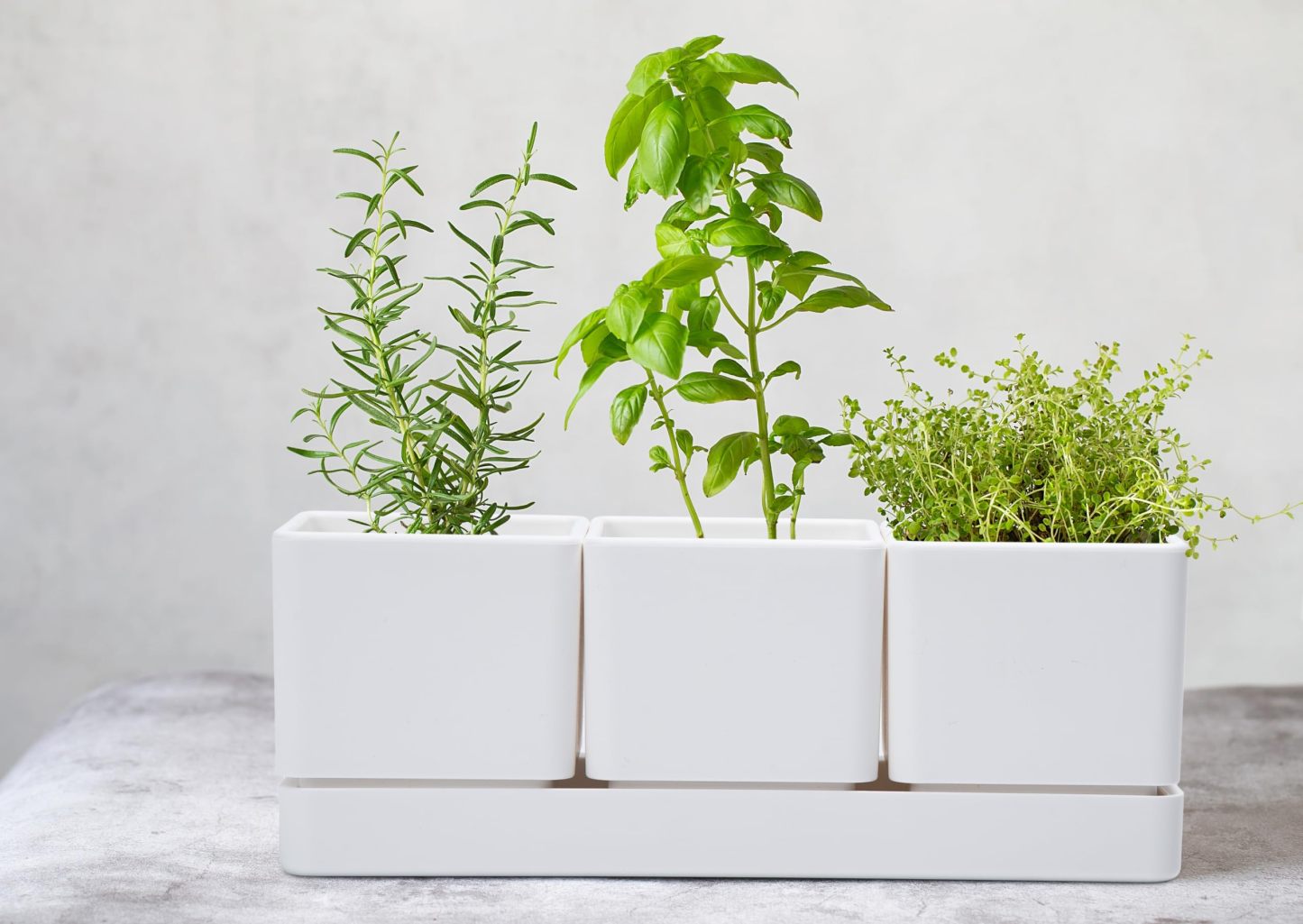 White Herb Garden Planter Set, Plastic Plant Pots with Drainage Holes & Saucers, Indoor Succulent Cactus Herb Pot for Windowsill, Balcony & Garden Decor