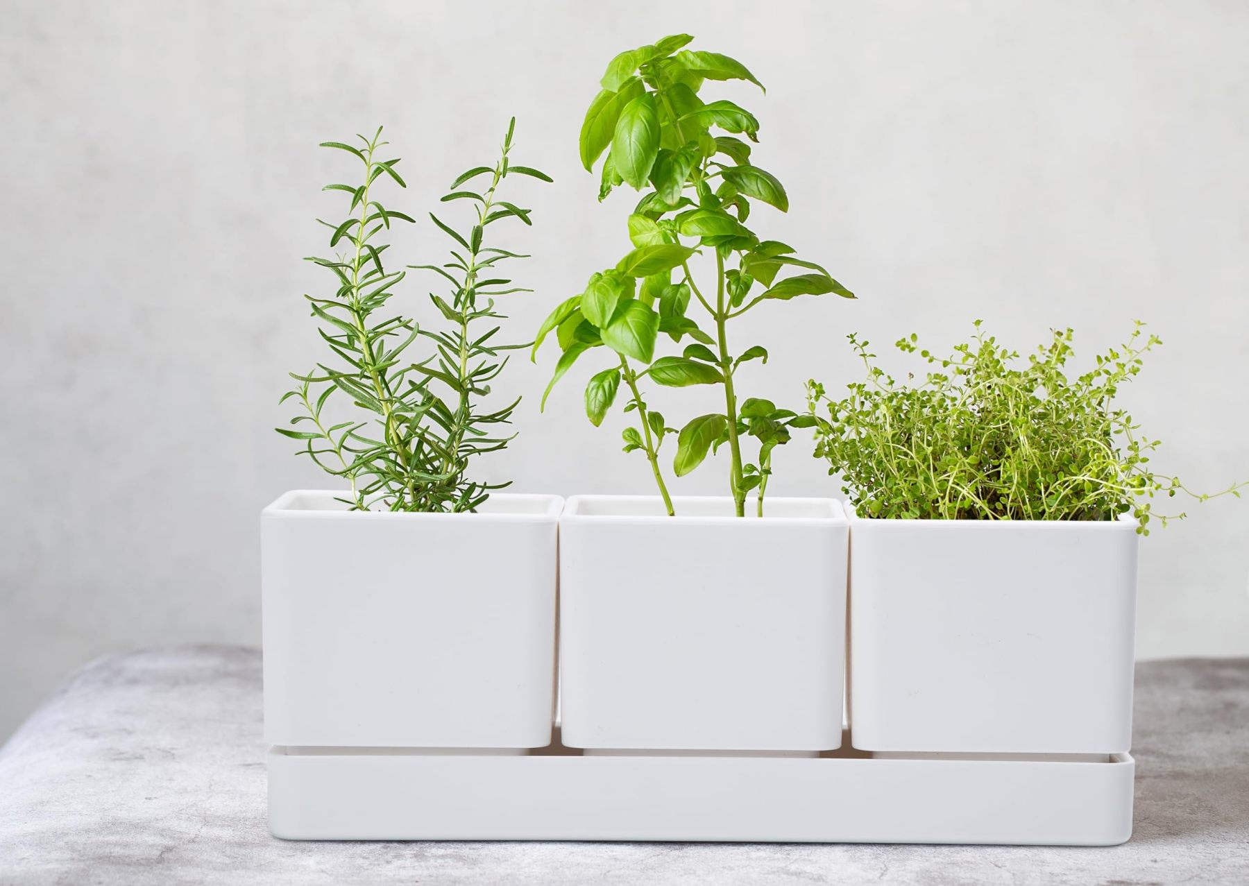White Herb Garden Planter Set, Plastic Plant Pots with Drainage Holes & Saucers, Indoor Succulent Cactus Herb Pot for Windowsill, Balcony & Garden Decor
