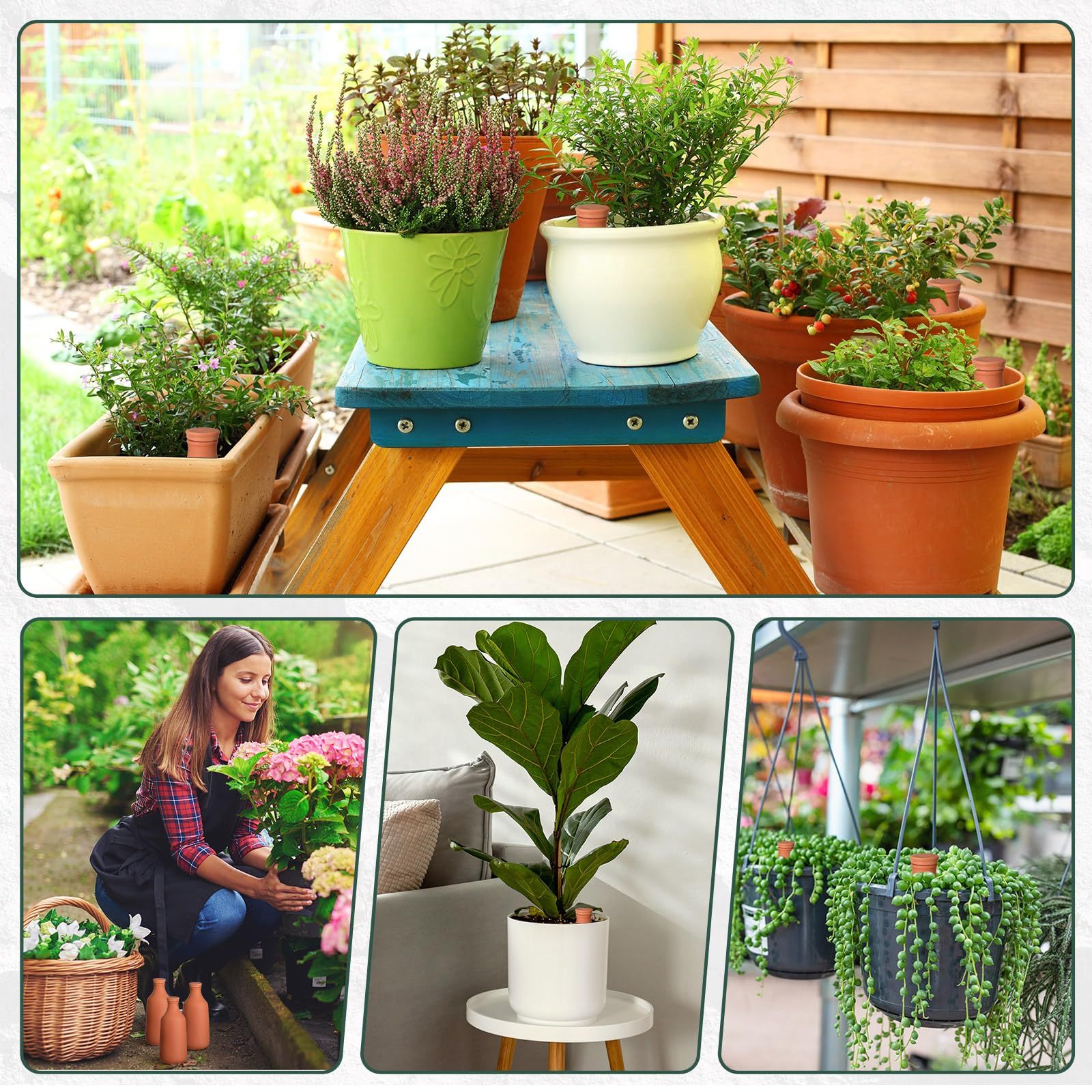 2 Pcs 24oz Terracotta Ollas Self Watering Planter Inserts, Clay Plant Watering Globes, Automatic Water Irrigation Pots for Indoor Outdoor Garden Plants, Easy Refill