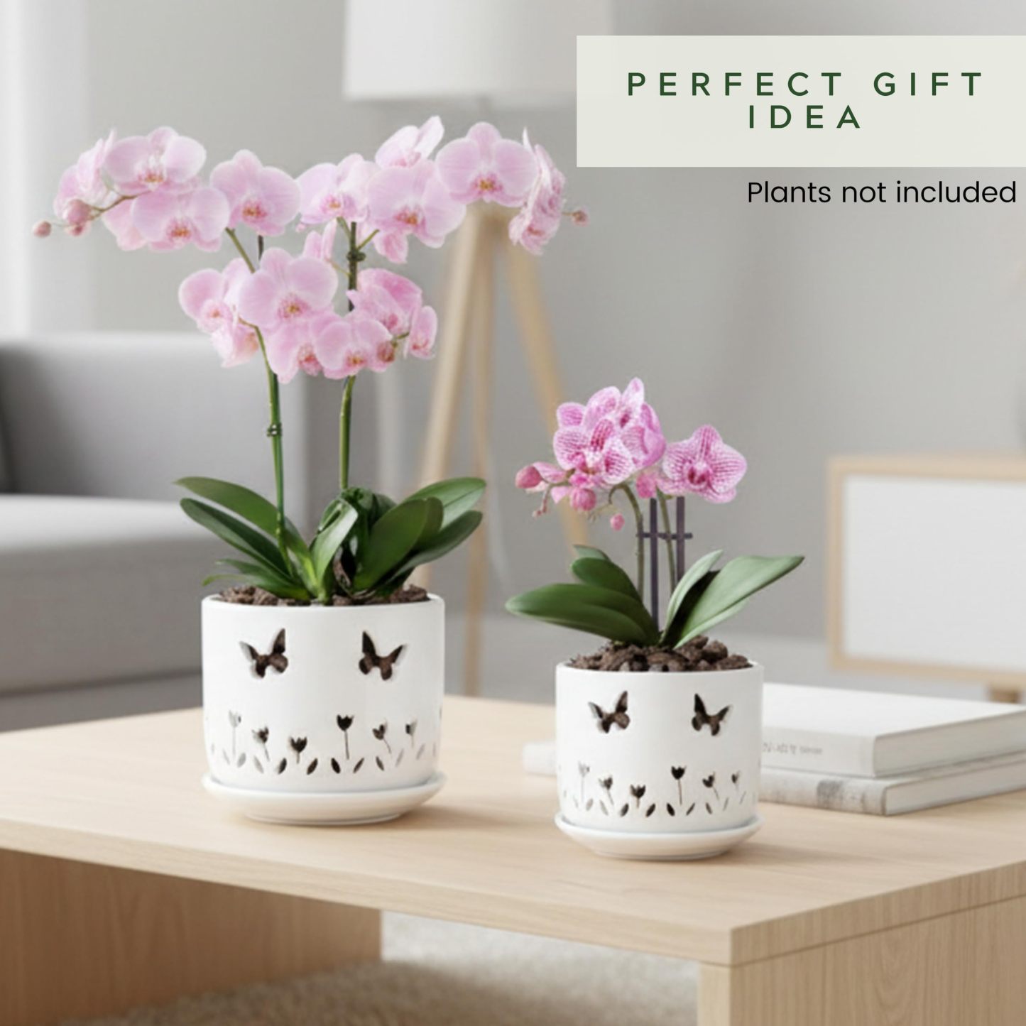 2 Pack White Ceramic Orchid Pots with Butterfly & Tulip Design, 5+6 Inch Planters with Drainage Holes & Saucers for Indoor Outdoor Repotting