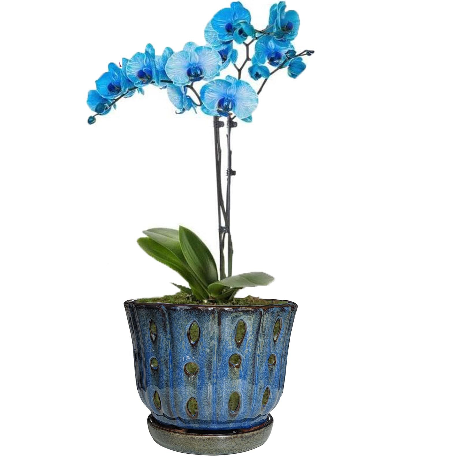 6 Inch Round Ceramic Orchid Pot with Holes, Premium Orchid Planter for Indoor Outdoor Use