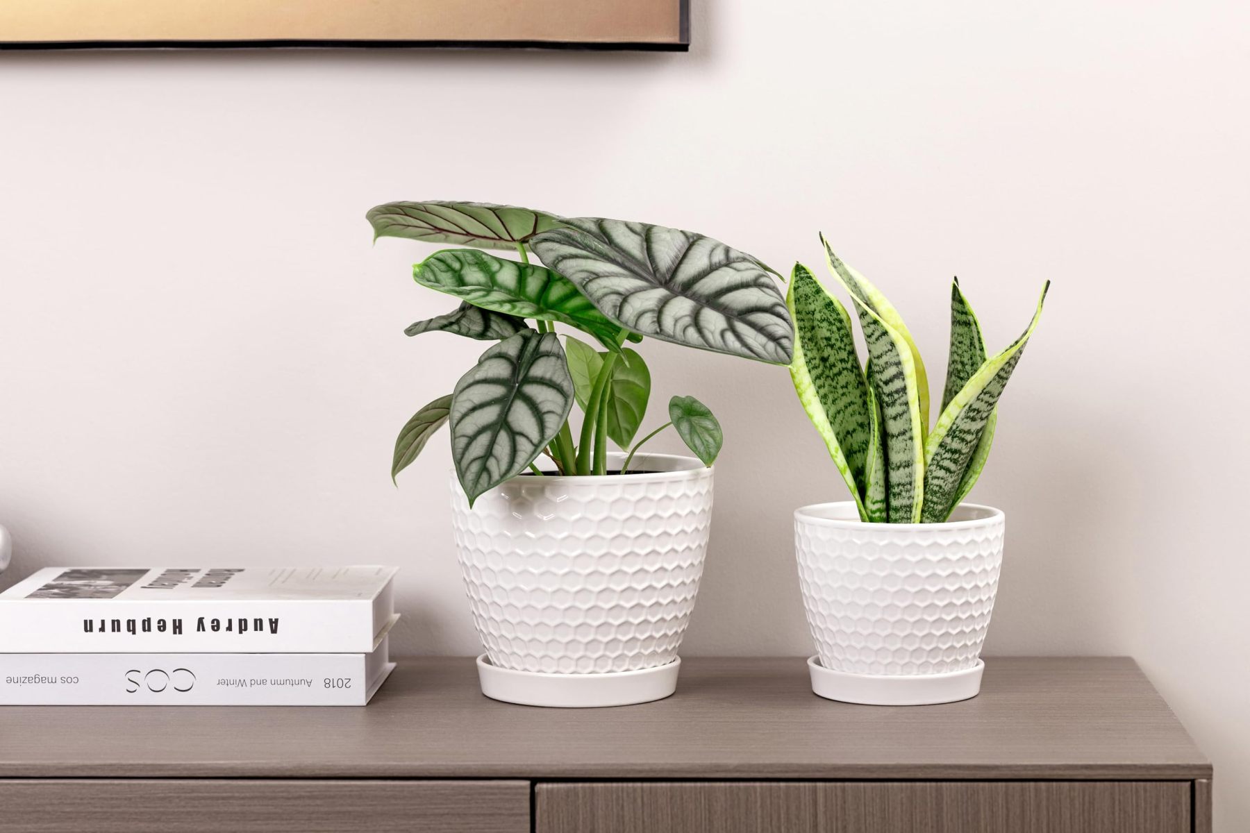 Ceramic Plant Pots Set of 2 (6.6" +5.5"), High-Fired Clay Planters with Drainage Holes & Saucers, Modern Honeycomb Design Home Decor for All Indoor House Plants