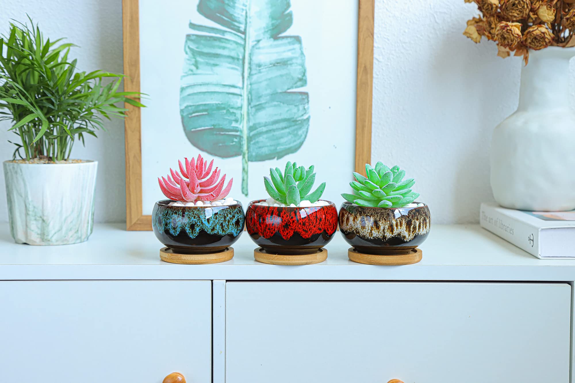 Set of 5 Cute Ceramic Succulent Planters with Drainage Holes & Attached Saucers, Decorative Mini Garden Pots for Indoor Plants – Plants Not Included
