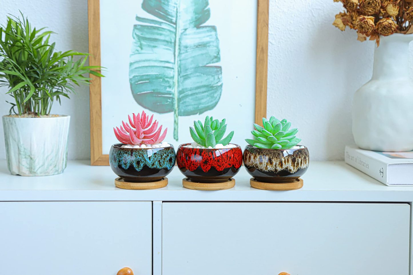 Set of 5 Cute Ceramic Succulent Planters with Drainage Holes & Attached Saucers, Decorative Mini Garden Pots for Indoor Plants – Plants Not Included
