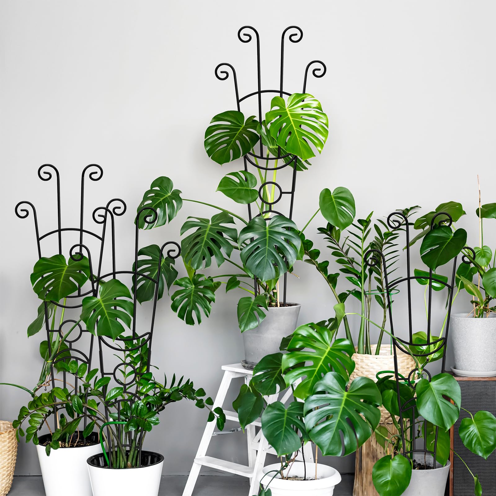 2 Pcs 32.6in Metal Plant Trellis, Monstera Plant Support Stakes, Indoor Climbing Plant Support for Pothos, Vine and Snake Plant
