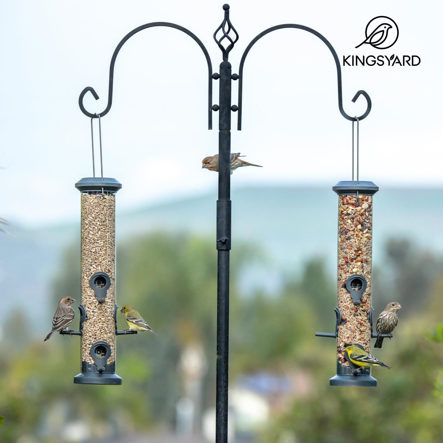 2 Pack Tube Bird Feeders 6 Feeding Ports Outdoor Hanging, Weatherproof Hard Plastic Wild Bird Feeder with Steel Hanger for Garden Yard