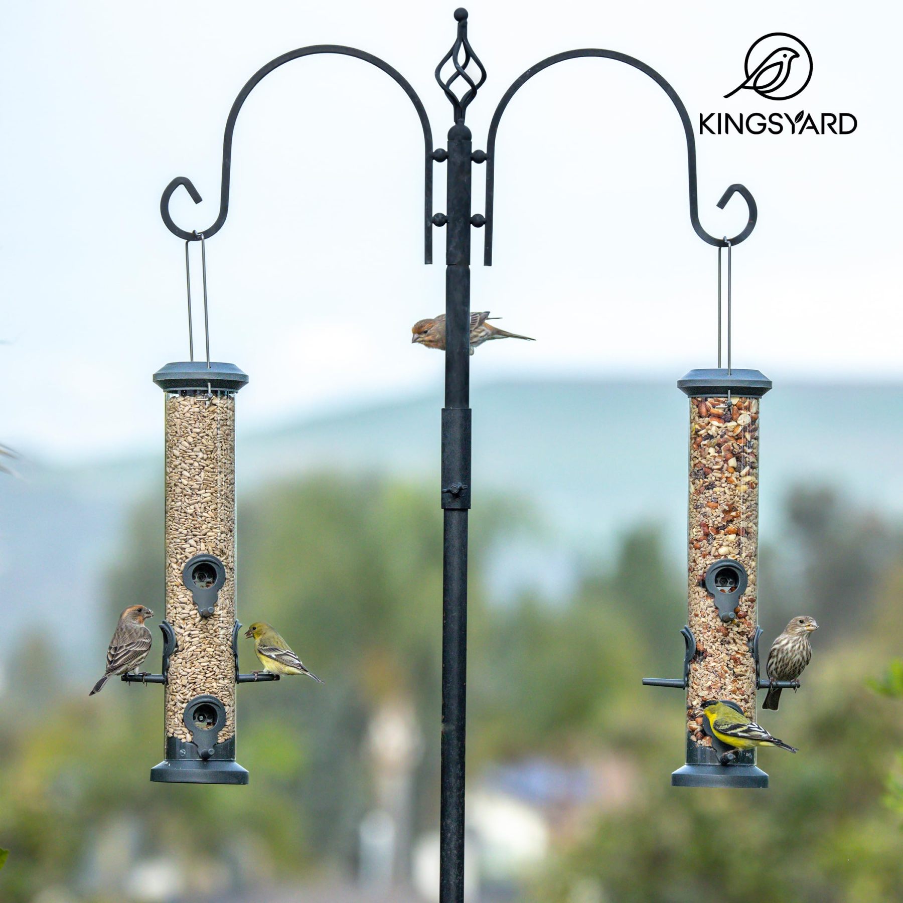 2 Pack Tube Bird Feeders 6 Feeding Ports Outdoor Hanging, Weatherproof Hard Plastic Wild Bird Feeder with Steel Hanger for Garden Yard