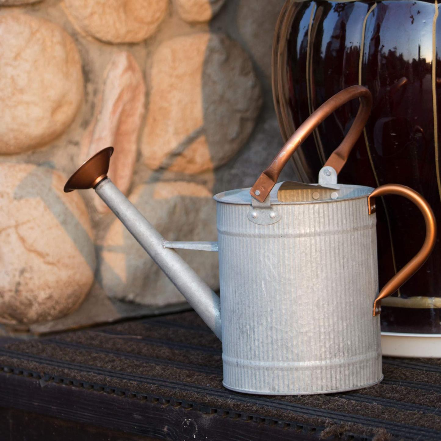 1 Gallon Galvanized Metal Watering Can with Removable Spout, Farmhouse Style for Indoor & Outdoor Plants