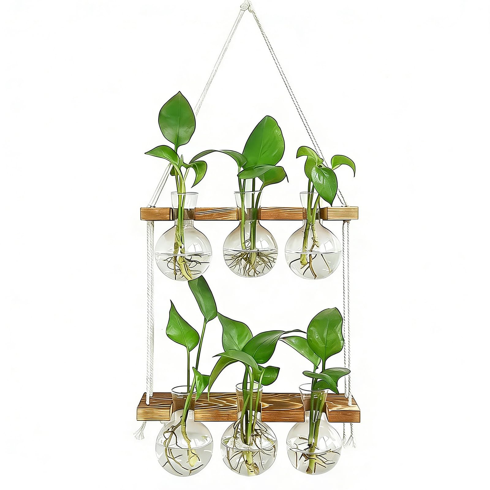 2 Tier Wall Hanging Plant Propagation Station, Wooden Stand Hydroponic Terrarium with 6 Bulb Glass Vases, Home Wall Decor Gardening Gifts for Plant Lovers