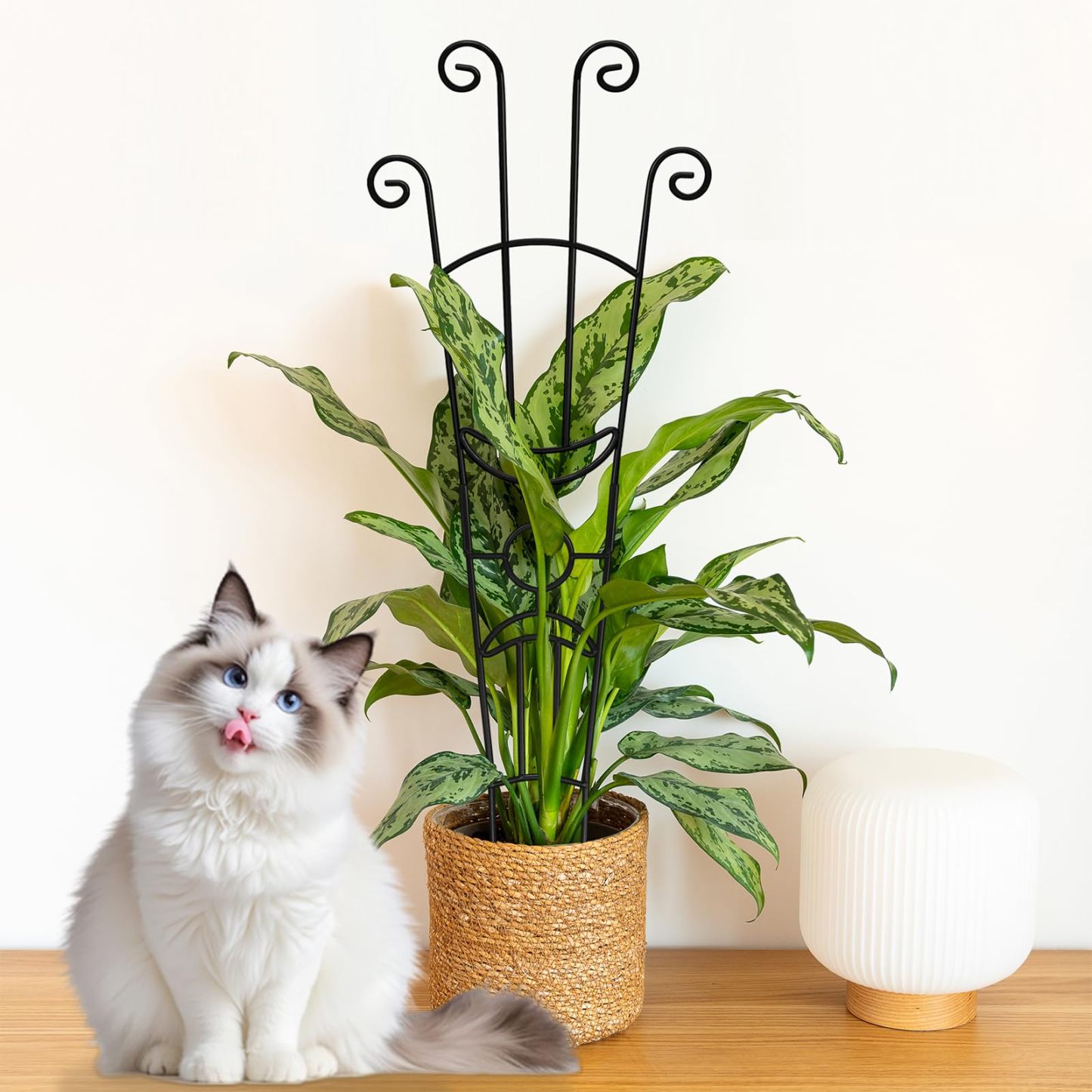 2 Pcs 32.6in Metal Plant Trellis, Monstera Plant Support Stakes, Indoor Climbing Plant Support for Pothos, Vine and Snake Plant