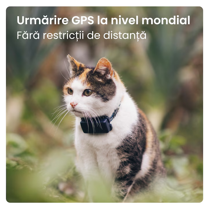 Dispozitiv monitorizare, Tractive GPS CAT Mini - GPS Tracker pentru pisici cu monitorizarea activitatii