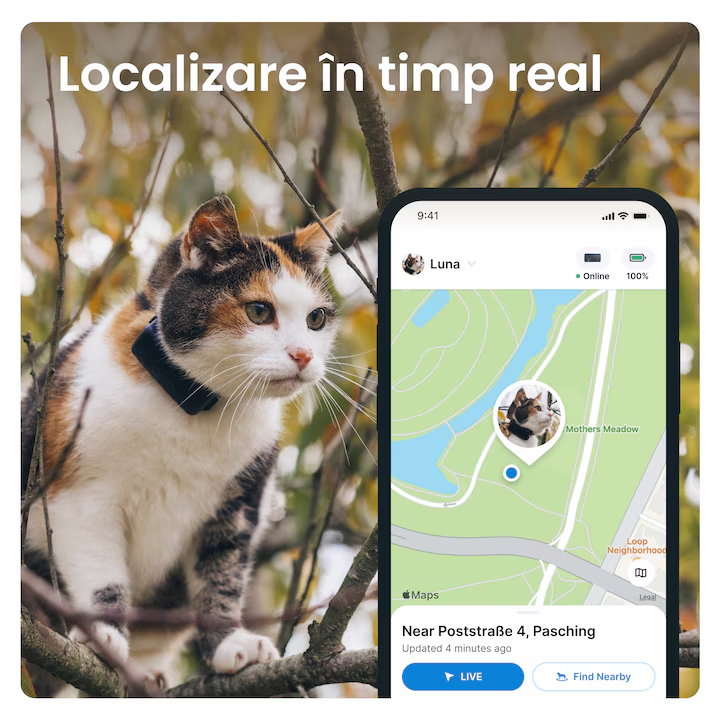 Dispozitiv monitorizare, Tractive GPS CAT Mini - GPS Tracker pentru pisici cu monitorizarea activitatii