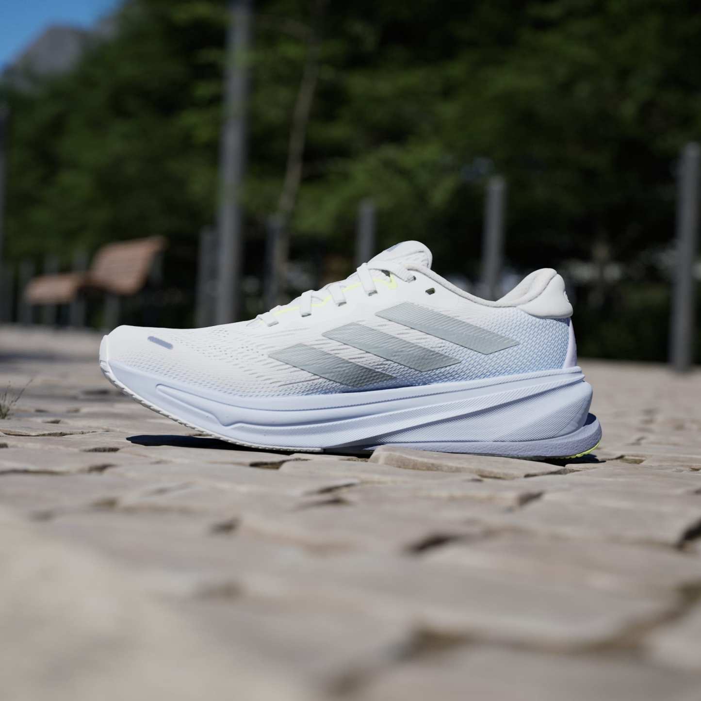 Supernova Rise 2 Running Shoes