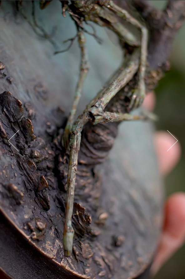 🧚‍♂️🌿 Handcrafted Forest Spirit Wall Sculpture (One of a Kind)