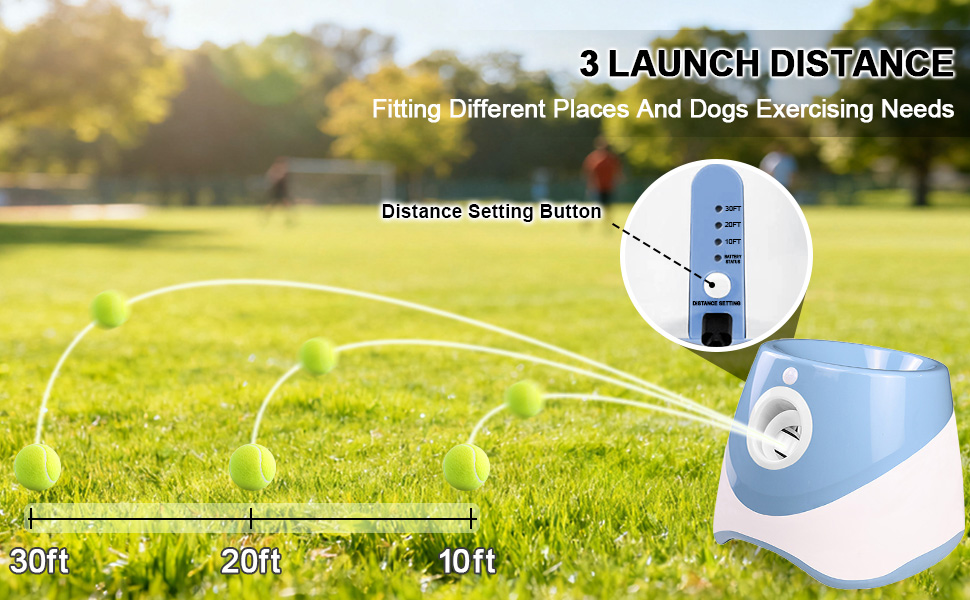 3 Launching Distance for Options  More fun for Dogs