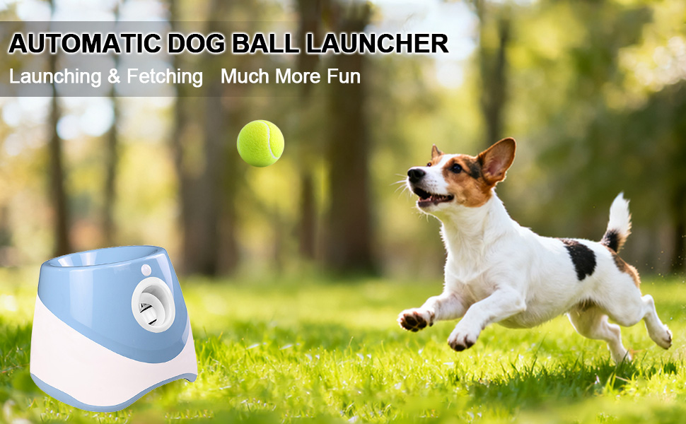 Automatic Dog Ball Launcher