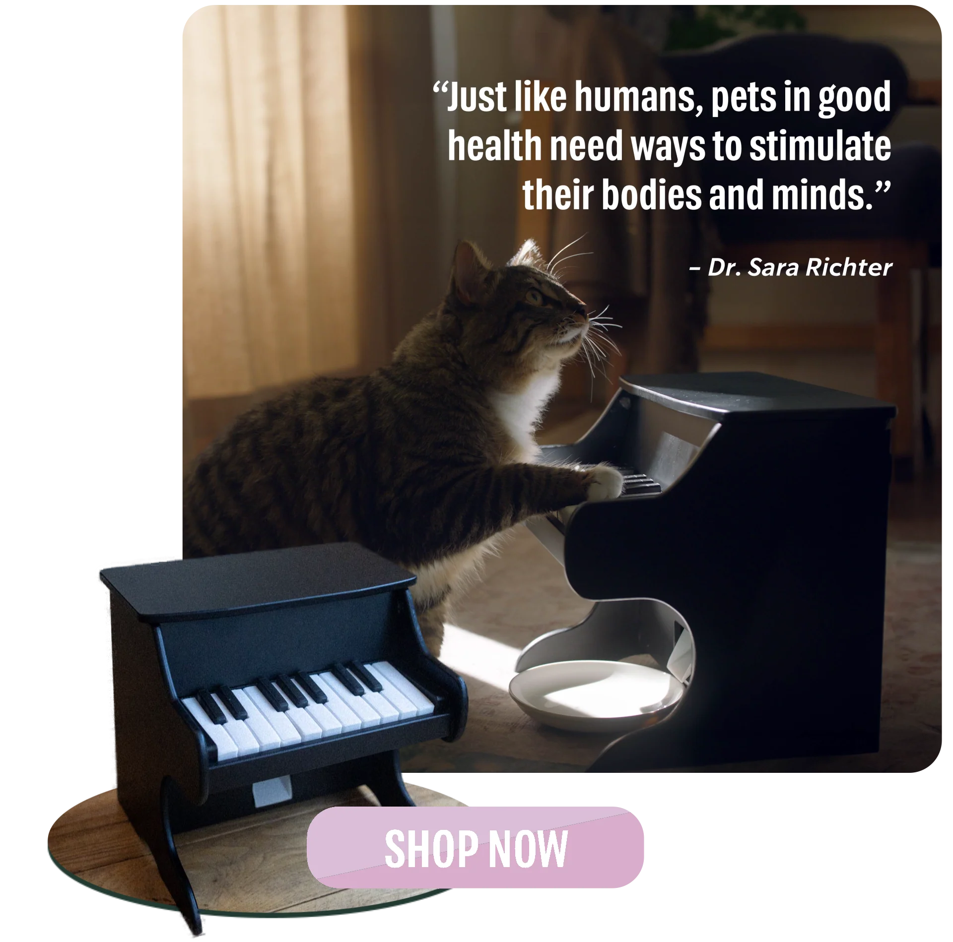 🐾 Interactive Pet Piano – Smart Music Feeder & Enrichment Toy 🎹