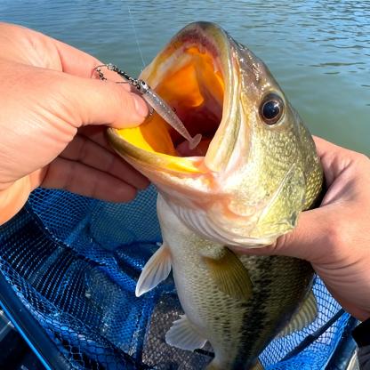 🎣Mini Multi-Arm Baitfish School Rig – Handcrafted Alabama-Style Fishing Lure