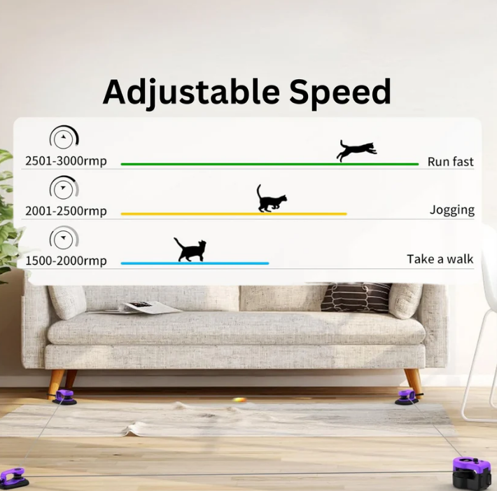 🐱 Cat Interactive Toy with Realistic Wing Motion | Adjustable Speed & Prey-Proof 💪