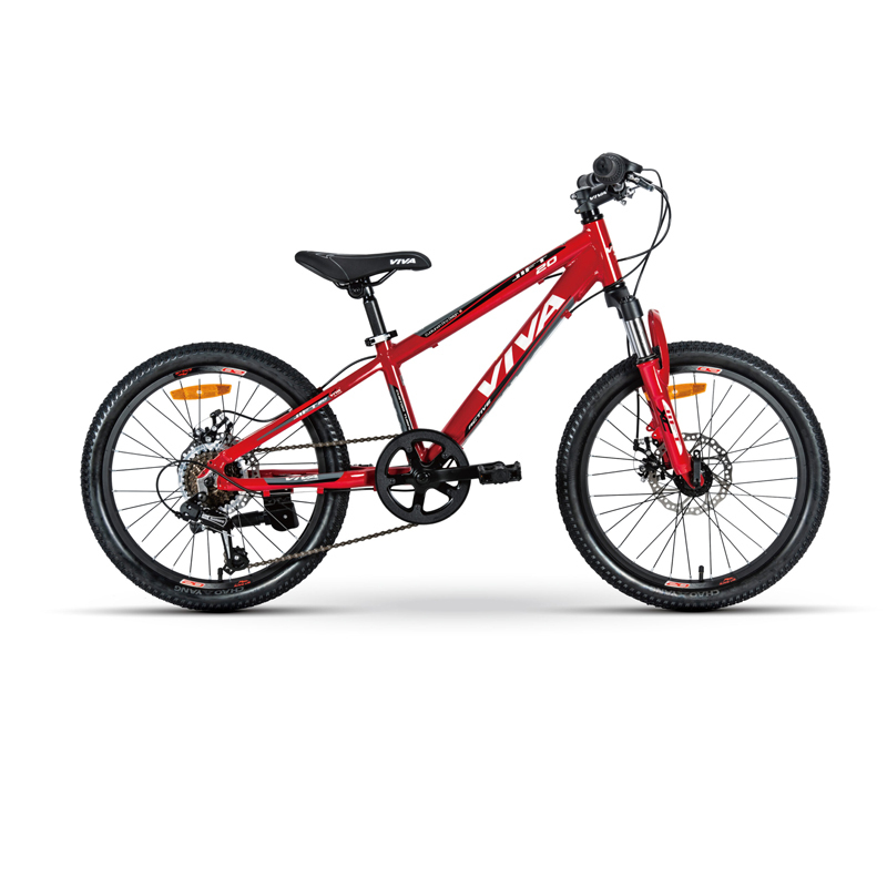 VIVA JIFT 20” Kids Mountain Bike – Your Child’s First Off-Road Adventure Bike