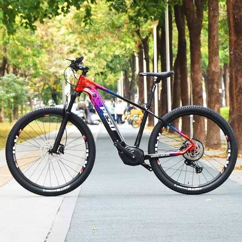 PESU XC MONSTER E-BIKE
