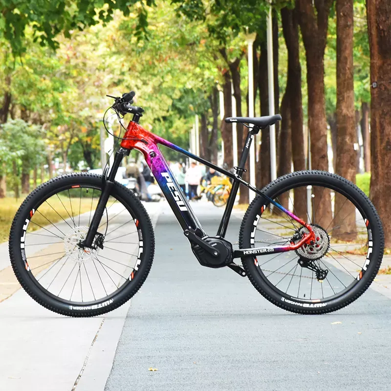 PESU XC MONSTER E-BIKE